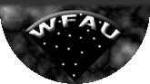 vsa logo bottom
